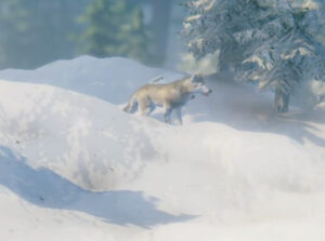 A valheim wolf in the snowy mountains