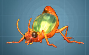 A large orange beetle with green shell on a blue background