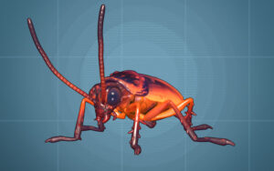 A large cockroach on a blue background