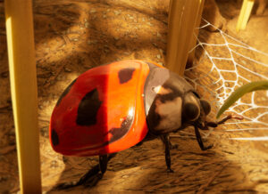 A large lady bug walking past some spider webbing.