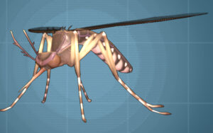 A large mosquito on a blue background