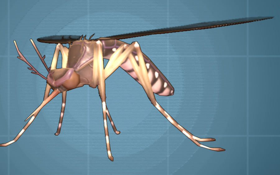 A large mosquito on a blue background