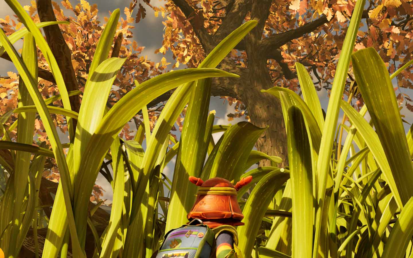 A player looking through the grass up at the large oak tree.