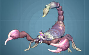 A O.R.C. Scorpion on a blue background