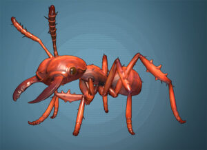 A large red soldier ant with a blue background.
